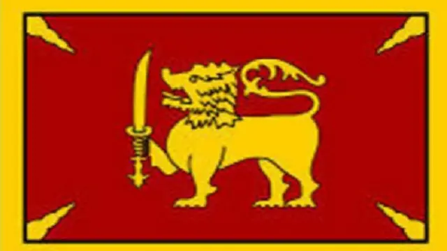 තීරු රහිත කොඩියක්