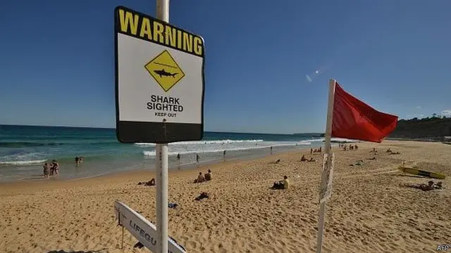 اس حملے کے بعد ساحل کے کچھ حصوں کو بند کر دیا گیا ہے