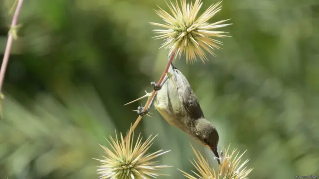 найкращі екологічні фото