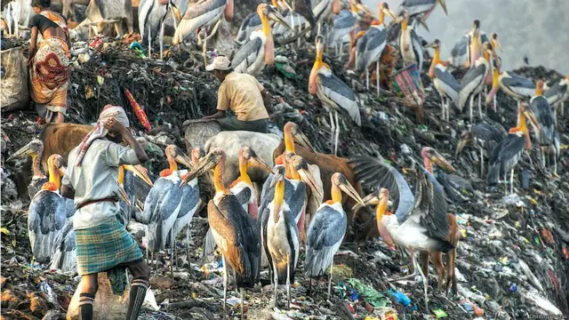 найкращі екологічні фото