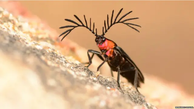 найкращі екологічні фото