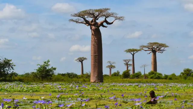 найкращі екологічні фото