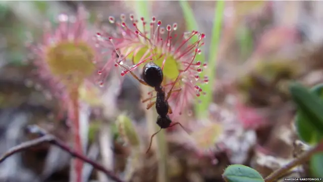 найкращі екологічні фото