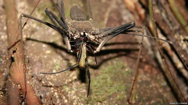 найкращі екологічні фото