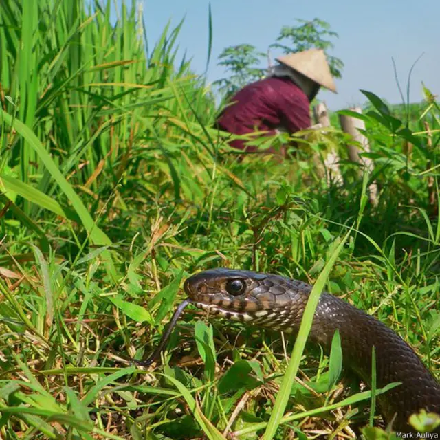 найкращі екологічні фото
