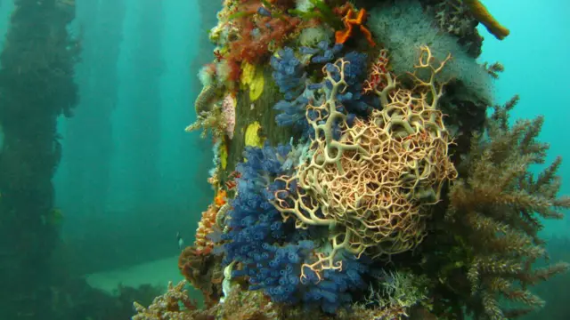 найкращі екологічні фото