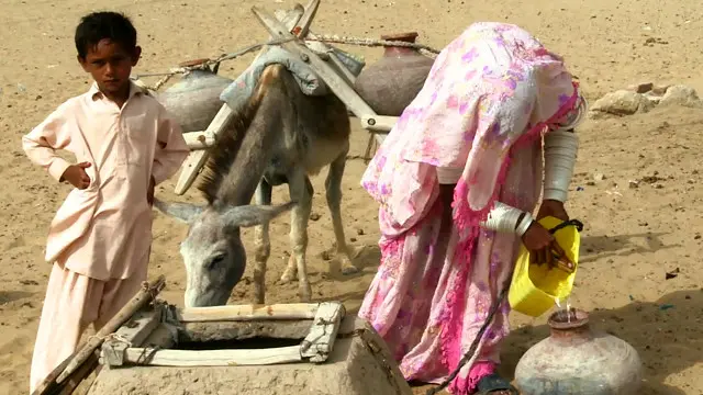 400 میں سے 100 کے لگ بھگ پانی صاف کرنے والے پلانٹ کچھ عرصہ چلنے کے بعد ناکارہ پڑے ہیں