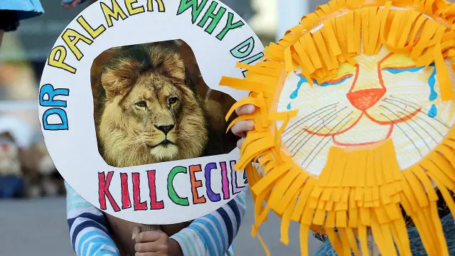 صورة لإحدى المظاهرات، وكتب على الافتة "يا دكتور بالمر، لماذا قتلت سيسيل؟"