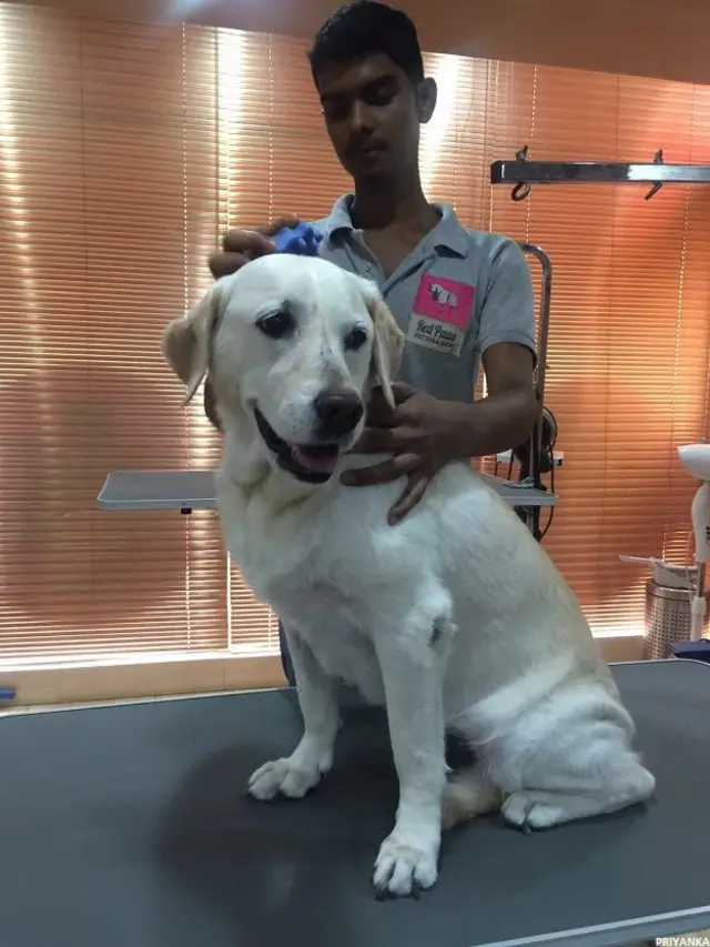 ان کے بال اور ناخن وغیر تراشے جاتے ہیں