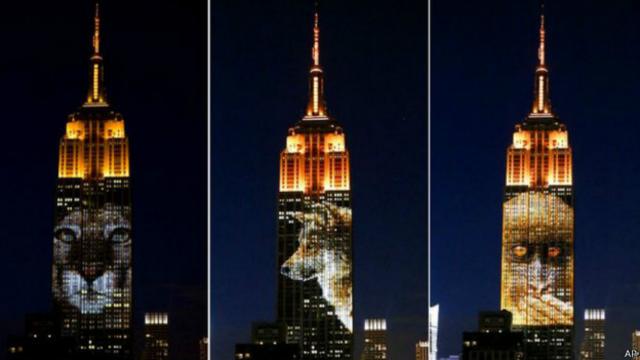 Динамические световые проекции животных впервые появились на стенах знаменитого небоскреба