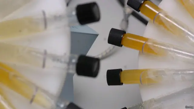 Тест на допинг