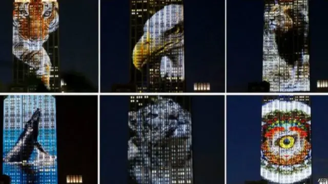 عرض صور الحيوانات جزء من فيلم وثائق ستعرضه قناة ديسكفري في ديسمبر/ كانون أول المقبل