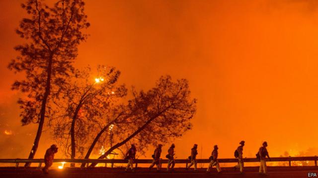 Unas 20.000 hectáreas de terreno han ardido.