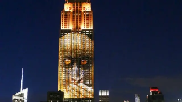 एंपायर स्टेट बिल्डिंग पर उभरी पशुओं की तस्वीरें