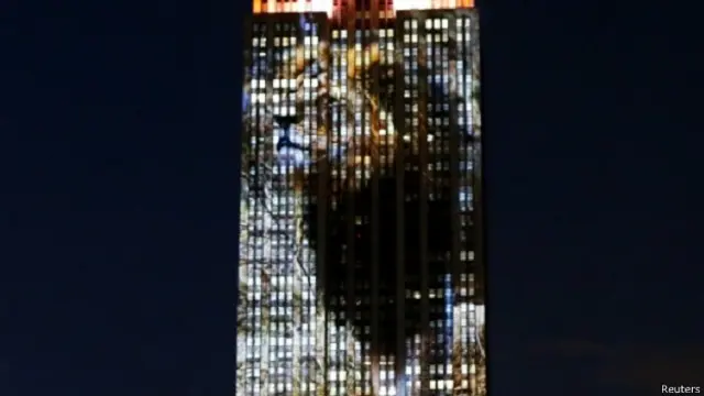 एंपायर स्टेट पर पशुओं की तस्वीरें