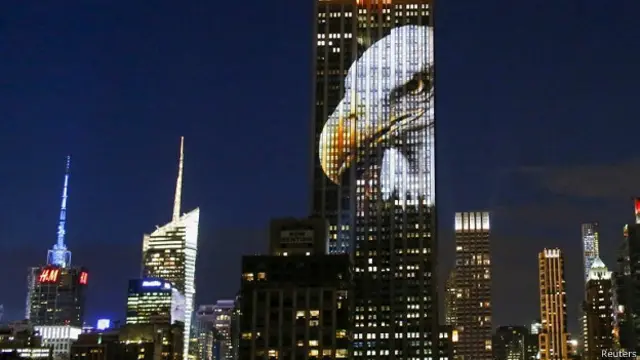 एंपायर स्टेट बिल्डिंग पर पशु पक्षी की तस्वीरें