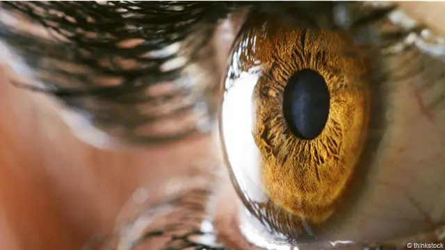 Глаз крупным планом