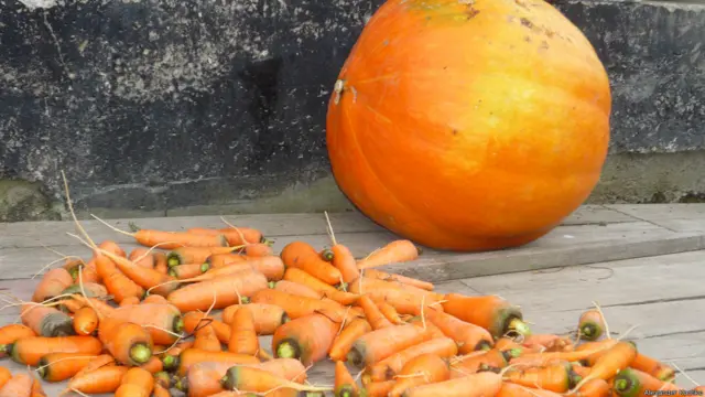 Александр, Приморский край