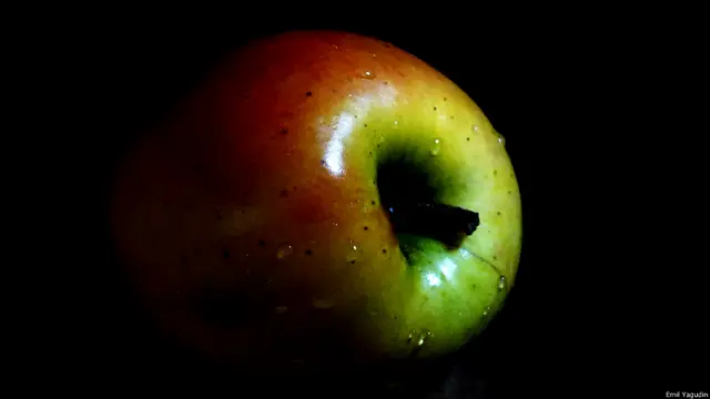 Эмиль Ягудин, Бостон, США 