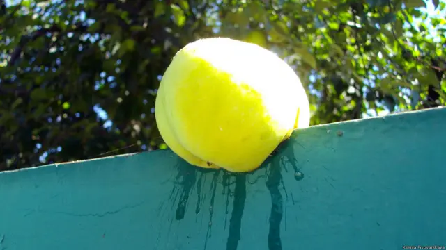 Пивоварская Ксения, Полтава, Украина.