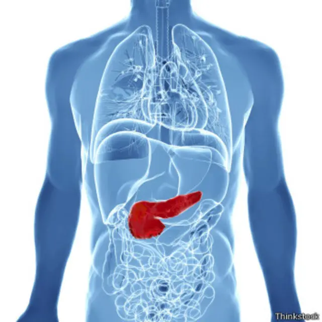 موقعیت پانکراس (لوزالمعده) در بدن