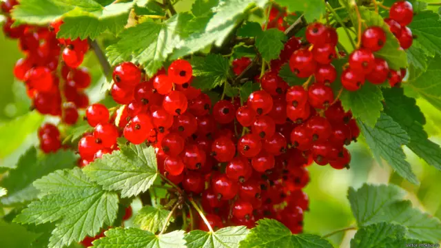 Виктор Прохоров, Москва