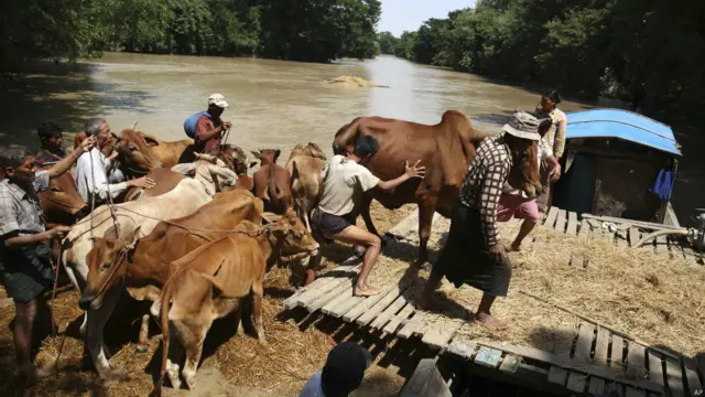 ပွင့်ဖြူ မြို့နယ်က ရေကြီးမှု အခြေအနေ။