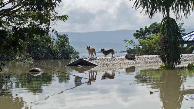 နေအိမ်တွေ ထောင်နဲ့ချီ ပျက်စီးခဲ့တဲ့ အပြင် စိုက်ခင်းတွေလည်း သောင်းနဲ့ချီ ရေမြုပ် ပျက်စီးခဲ့ရ။