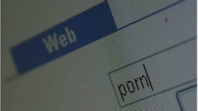 Yetkinlik yaşına çatmış şəxslər virtual şıxsi şəbəkələrdən istifadə etməklə bu cür saytlara daxil ola biləcəklər