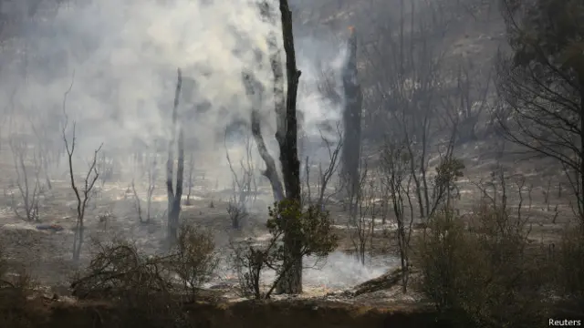 Калифорния