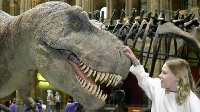 عرض الديناصور في متحف التاريخ الطبيعي يجتذب كثيرا من الزوار
