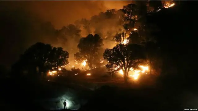 कैलिफोर्निया