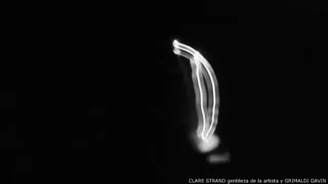 "Disparador activado en una cámara fotográfica", de Clare Strand, 2004.