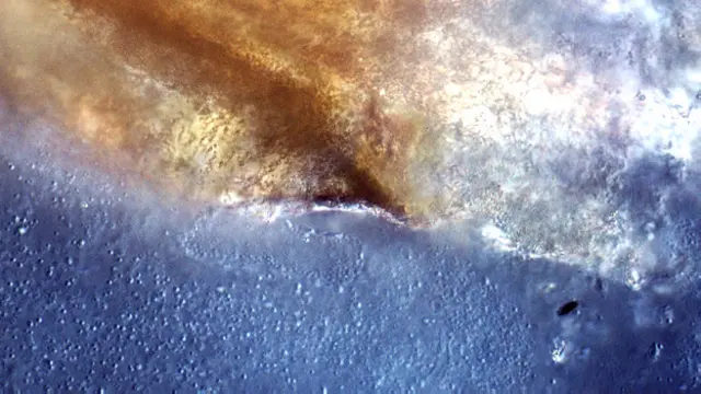 "Microfotografía de Stelsel (Sistema) 8", de Joris Jansen, 2011