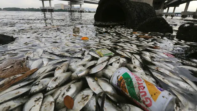 آلودگی کی مختلف وجوہات ہیں جن میں شہر کی نالیوں اور فیکٹریوں کا پانی بھی شامل ہے