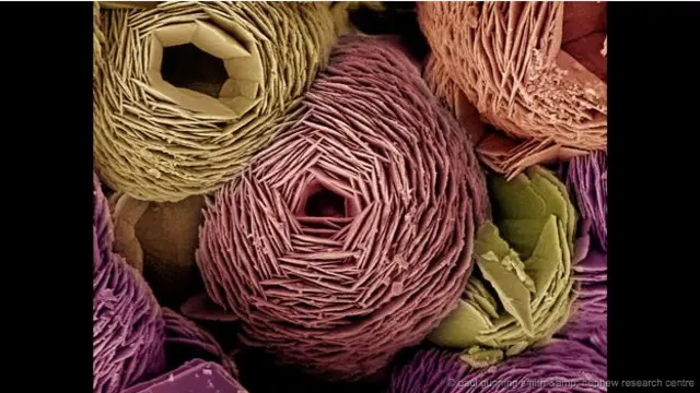 'Mawar-mawar dari kapur' - Kalsium karbonat memiliki banyak bentuk kristal. Bentuk yang menyerupai mawar ini tersusun oleh piringan heksagonal dari polimorf Vaterite.