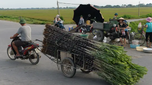 Hàng nông sản Việt Nam hy vọng thuận lợi hơn khi nhập vào EU