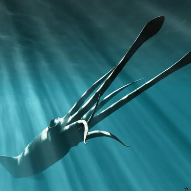 2013年拍摄到巨乌贼在自然栖身环境中游弋的科学家搭乘的就是私人拥有的潜艇。