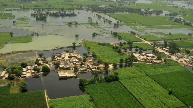 پنجاب کے جنوبی ضلع راجن پور میں سیلاب سے میلوں میں پھیلی فصلیں زیرِ آب آ گئیں۔