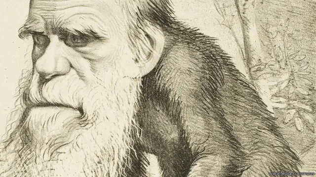 Sebuah kartun di tahun 1871 yang menggambarkan Charles Darwin sebagai kera.
