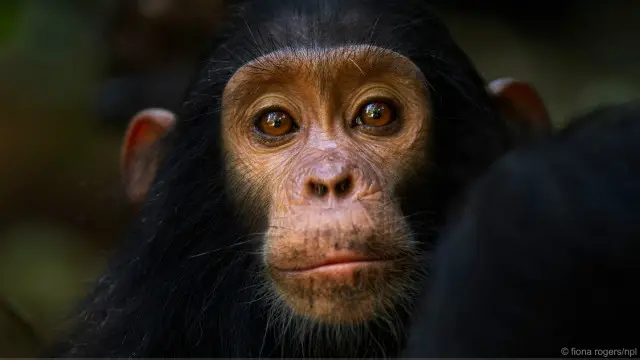 Ada banyak yang terjadi di balik mata itu.