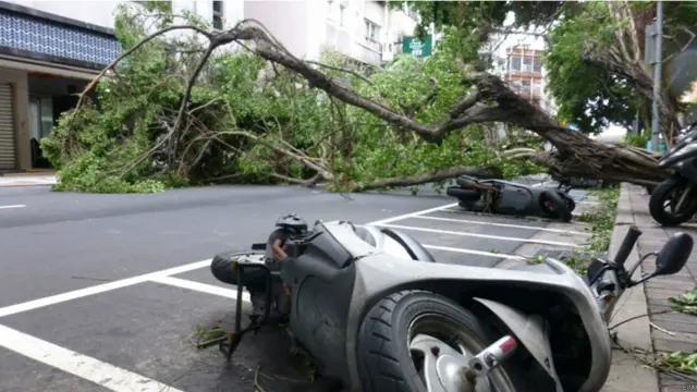 سوڈیلار نے تائیوان میں بڑے پیمانے پر تباہی مچائی، جس میں کم سے کم چھ افراد کی موت ہو گئی۔