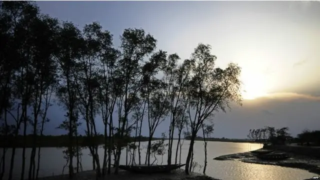 सुंदरवन भारत और बांग्लादेश के बीच 10 हज़ार वर्ग किलोमीटर में फैला घना जंगल है.