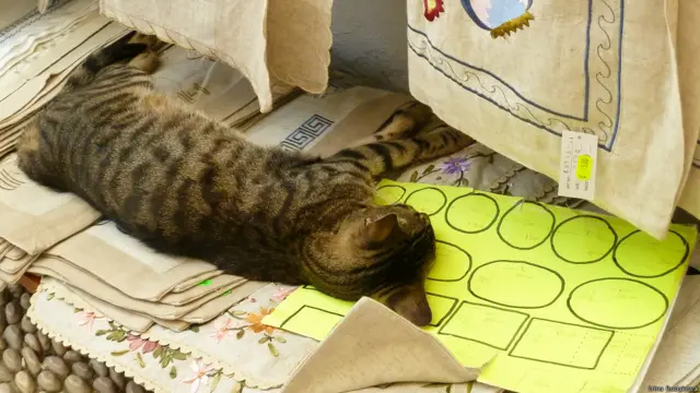 Ирина Рудакова