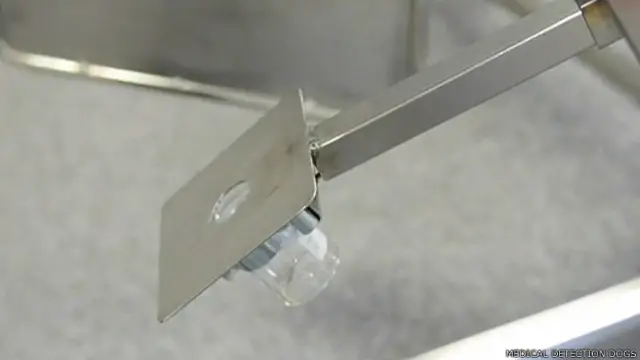 Muestra de orina utilizada para entrenar a los perros en un ejercicio de carrusel. 