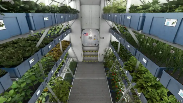 Así será un compartimento de cultivos de futuras naves espaciales, según NASA.