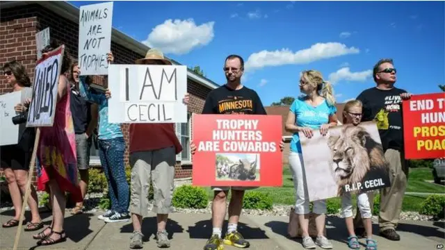سیسل نامی شیر کی ہلاکت کے بعد جانوروں کے تحفظ کے لیے دنیا بھر میں ایک بار پھر آواز اٹھائی جا رہی ہے