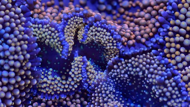 फ़ोटो क्रेडिट- टेड गिफ्रोड्स