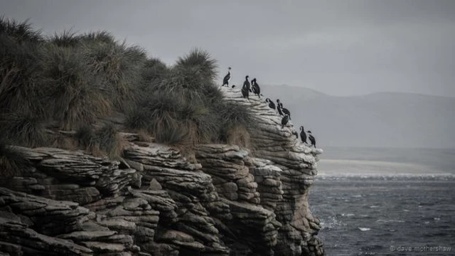 फ़ोटो क्रेडिट- डेव मदरशॉ