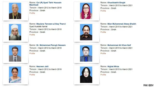 8 نشستوں کے ساتھ ایم کیو ایم پاکستانی سنیٹ کی تیسری بڑی جماعت ہے